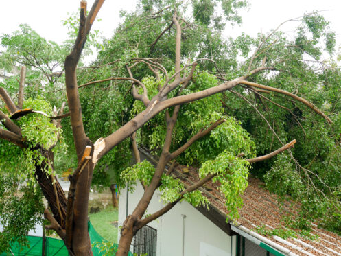 Storm damage roofing services in Omaha, NE