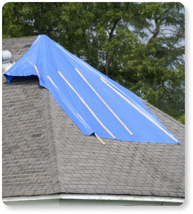 Storm Damage in Papillion, NE